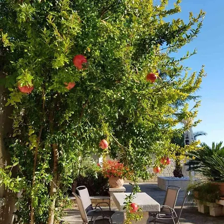 Mit Schwimmbad By Interhome Buici (Istria)